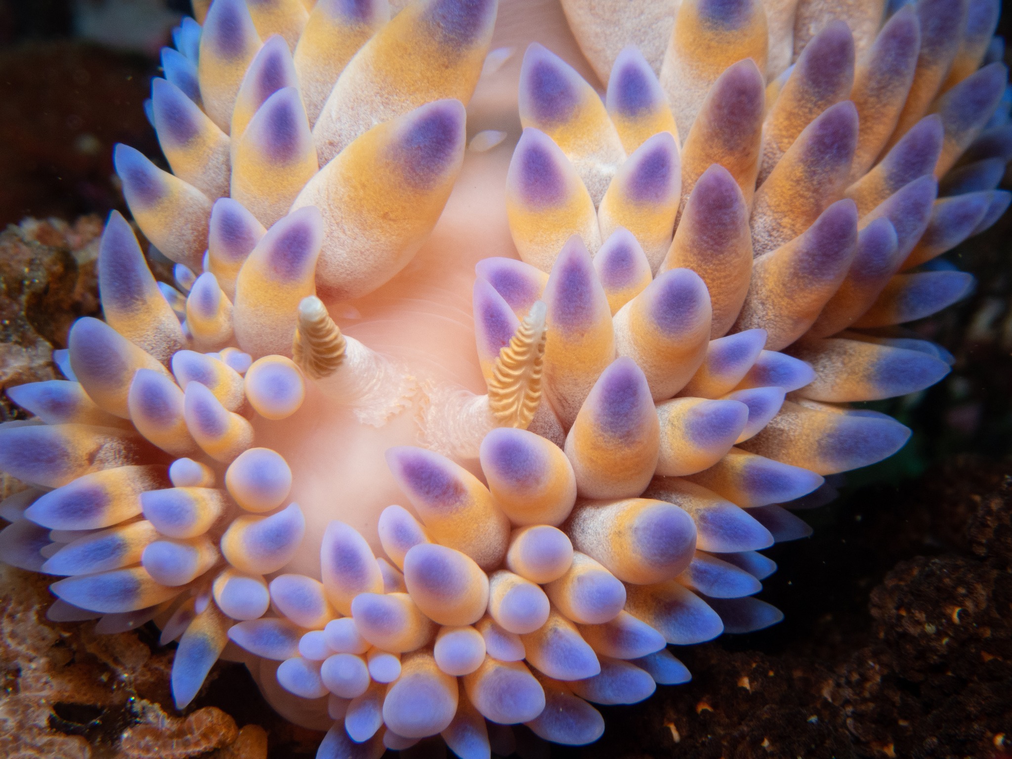 277564955_983964252511863_4370261679972190952_n