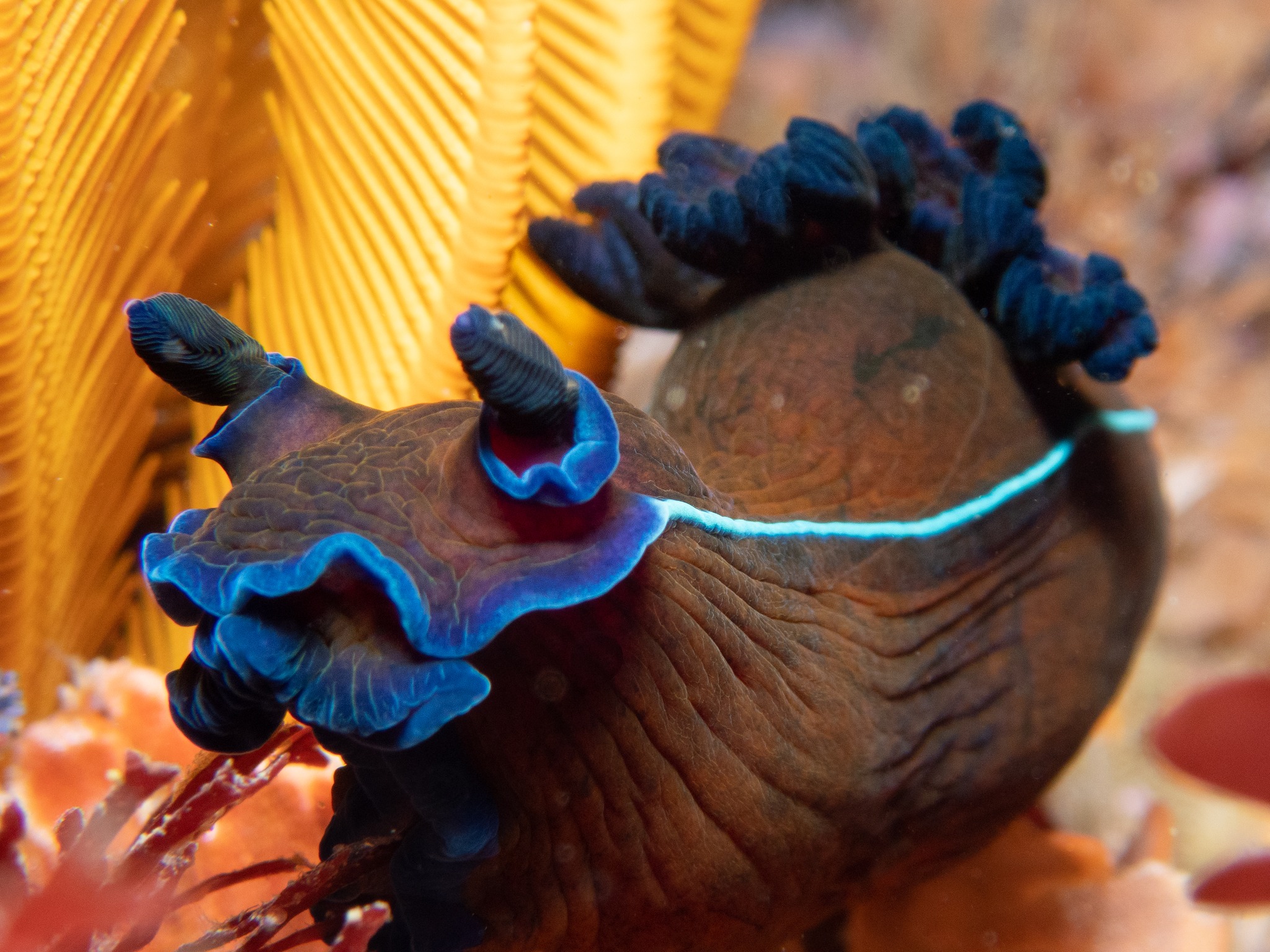 277667684_983964415845180_417448326486830222_n