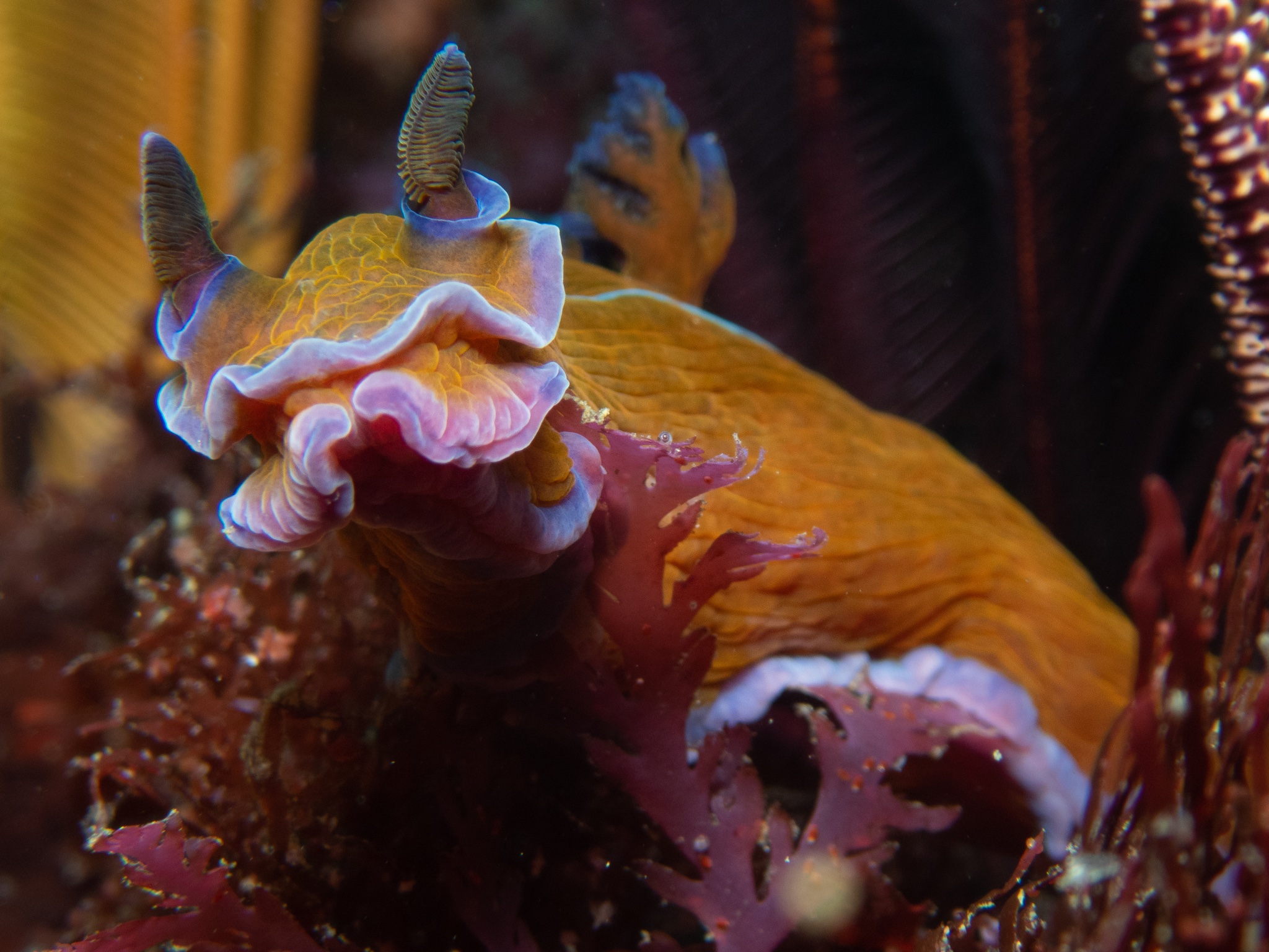 283712948_1020478678860420_3012004001289264486_n