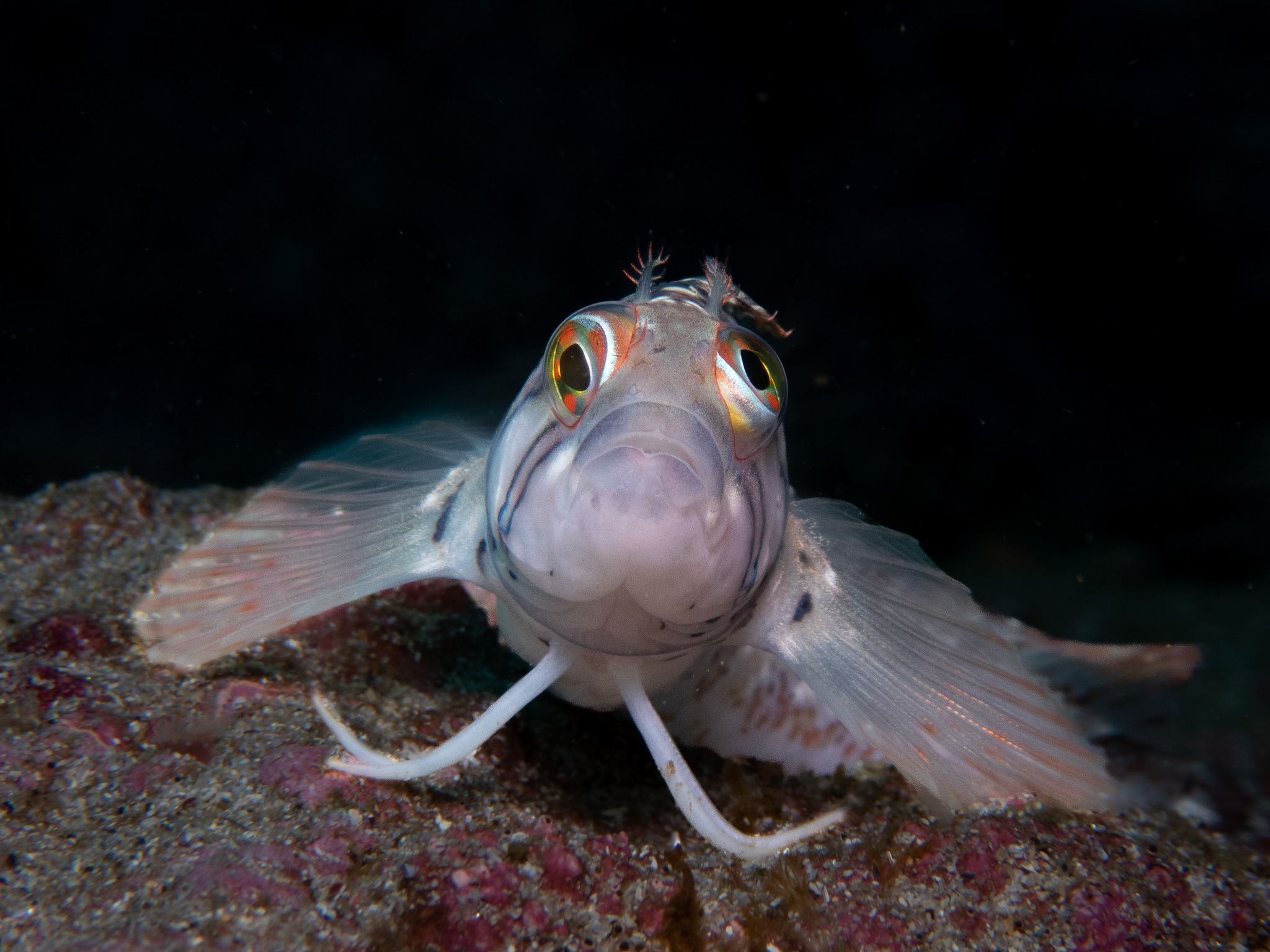 313413400_561552922638287_4056731327957597793_n